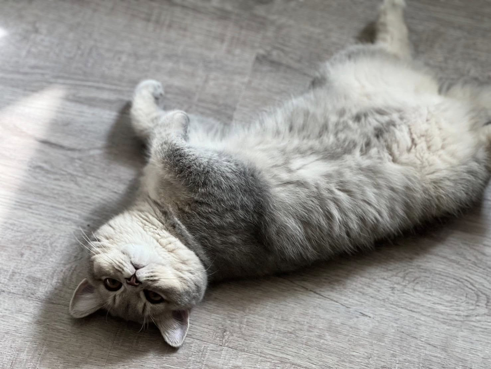 484072708_615974238080133_485147555175678359_n