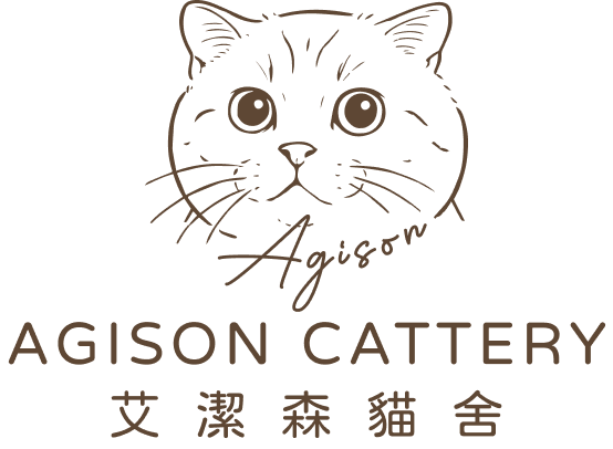 貓舍推薦艾潔森