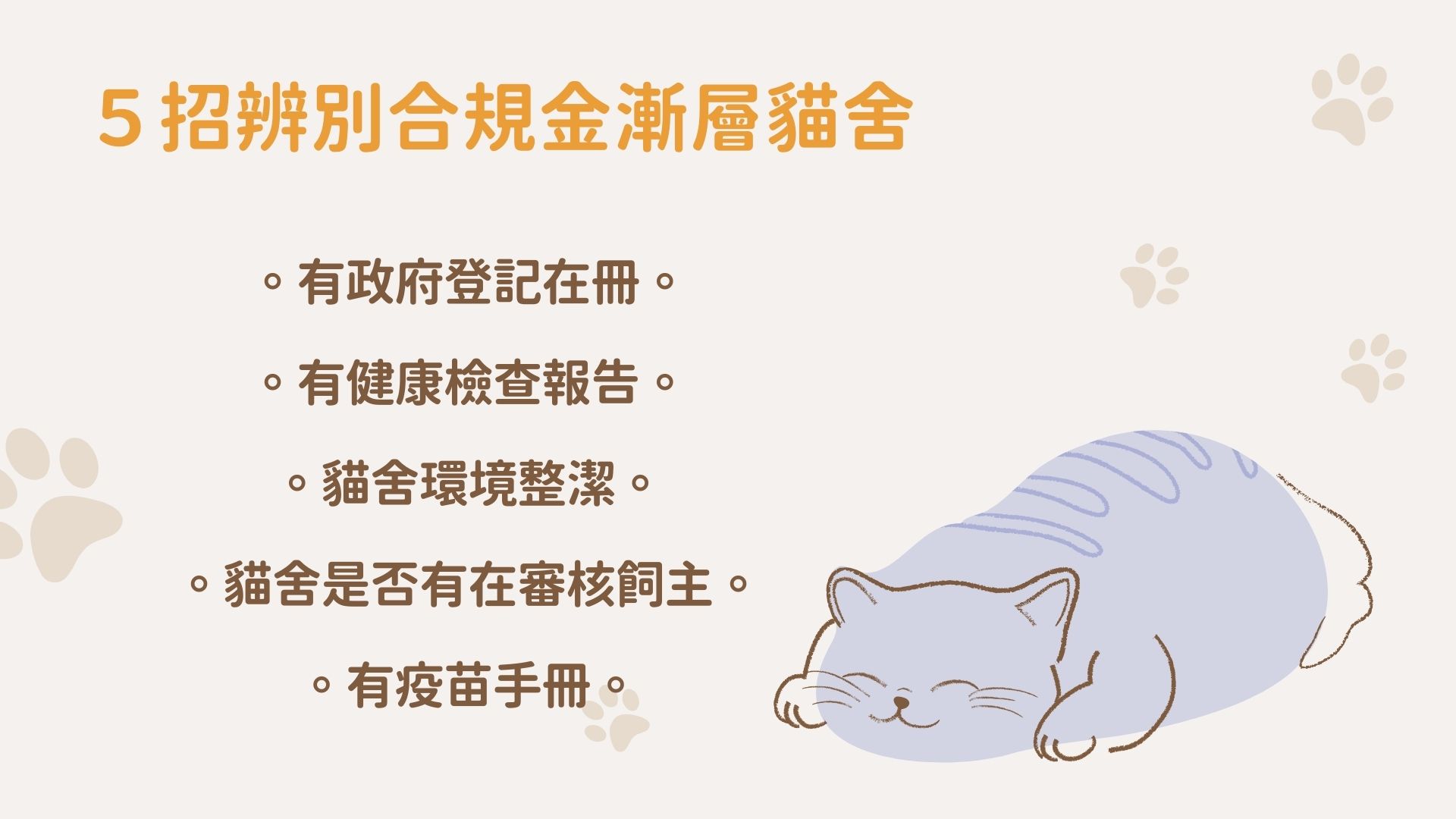 合法金漸層貓舍