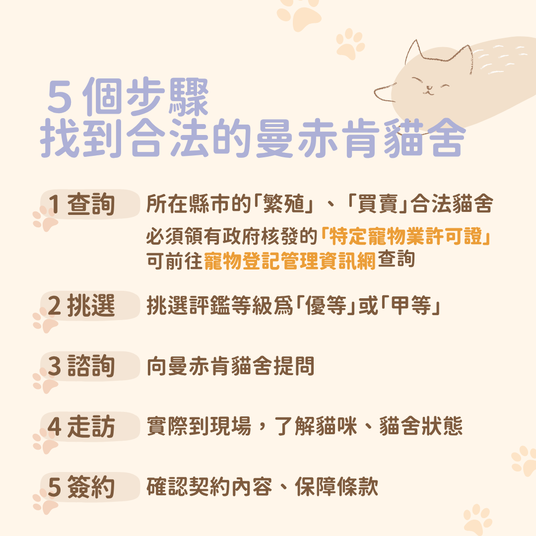 合法曼赤肯貓舍