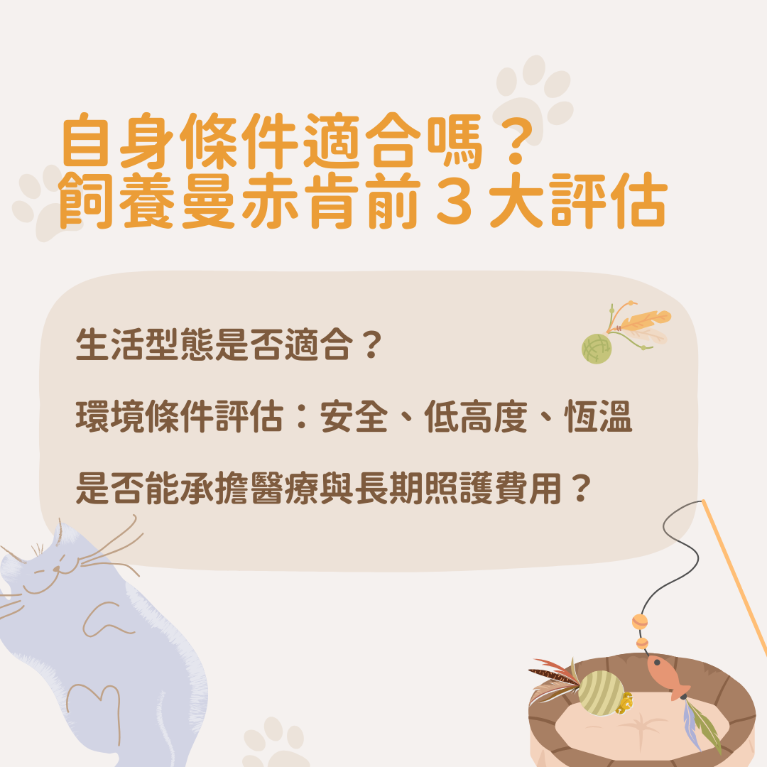 適合養曼赤肯嗎