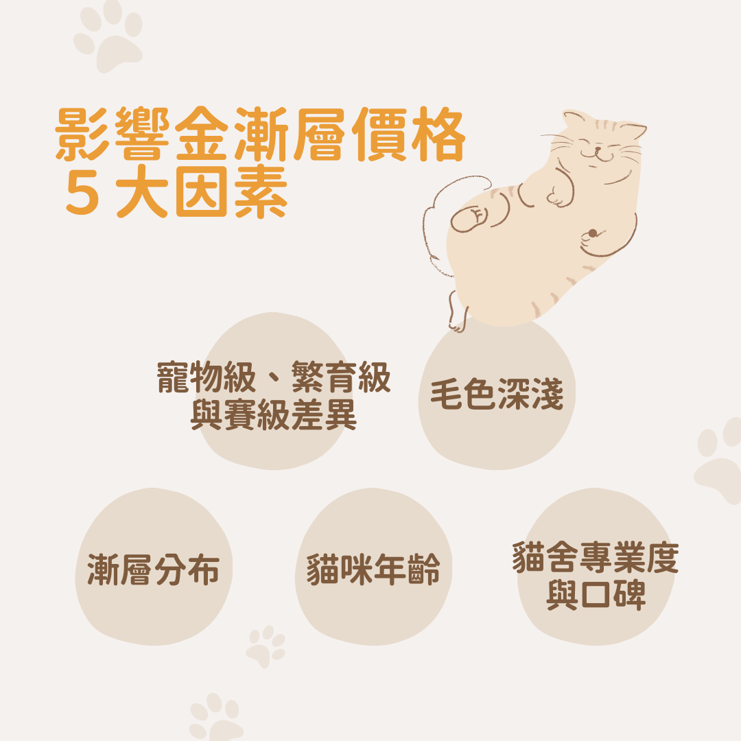 影響金漸層價格因素