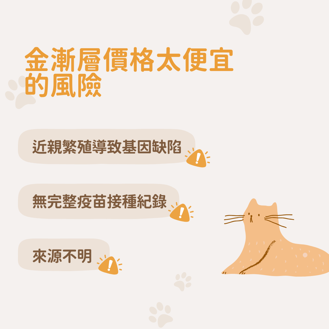 金漸層價格便宜