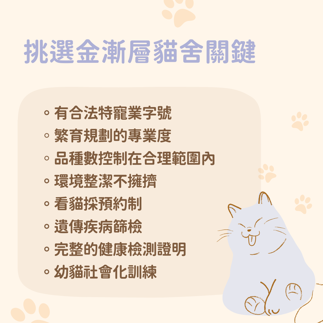金漸層貓舍怎麼選