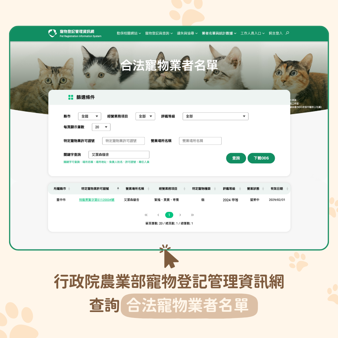 金漸層合法特寵業字號貓舍