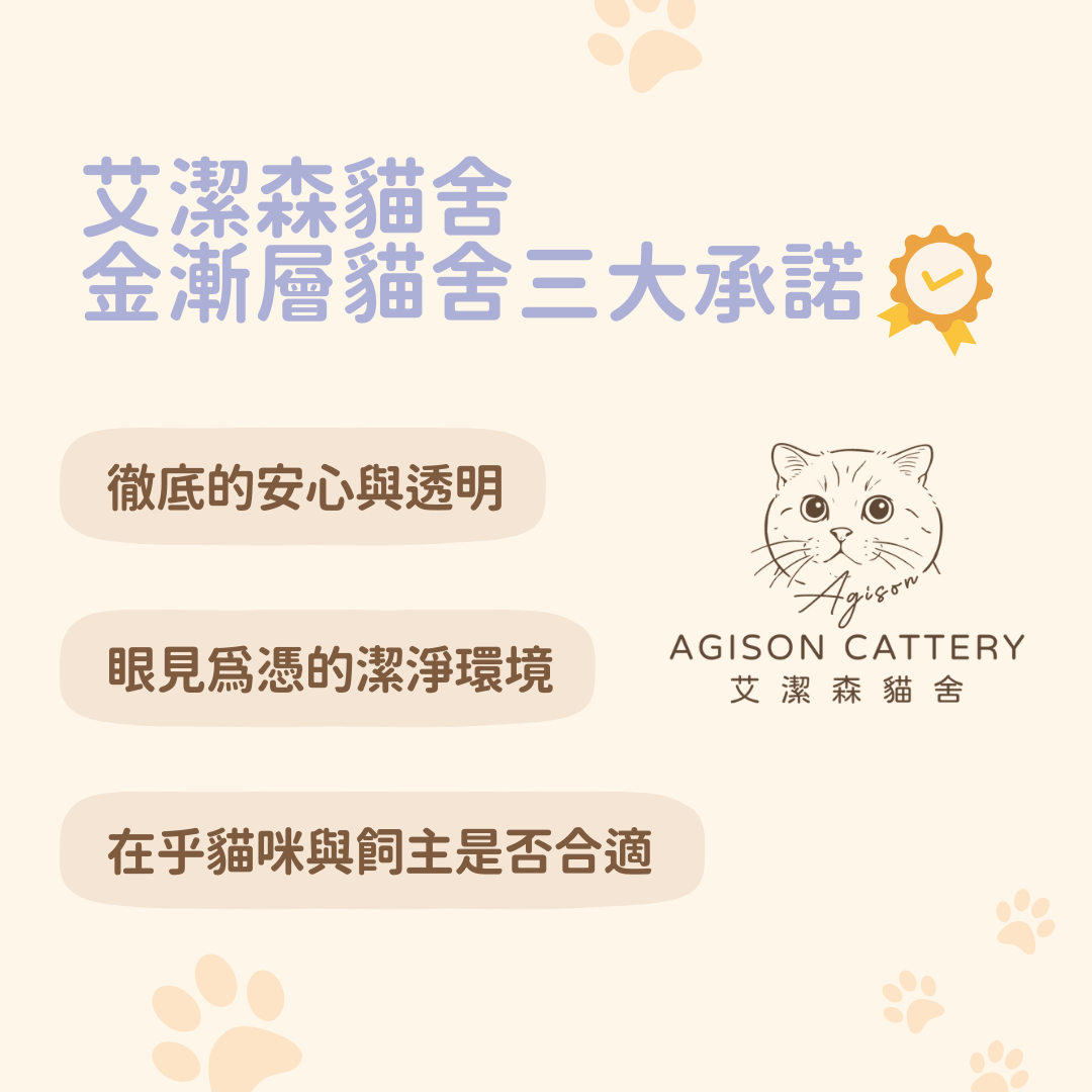 艾潔森金漸層貓舍的三大承諾