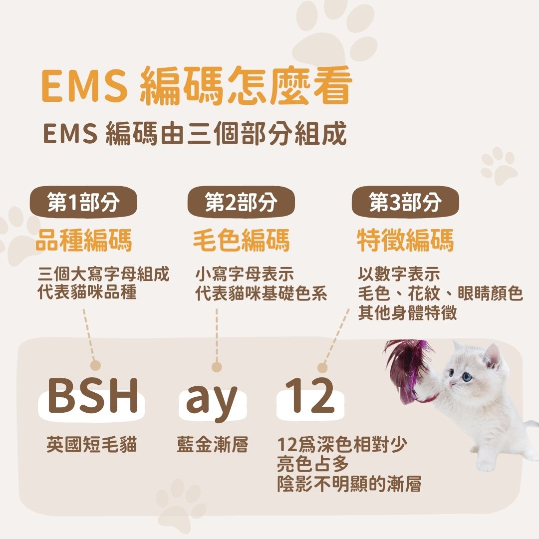 ems編碼